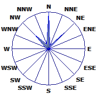 Wind Rose